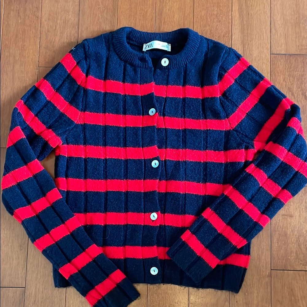 Zara Striped Navy and Red Sweater